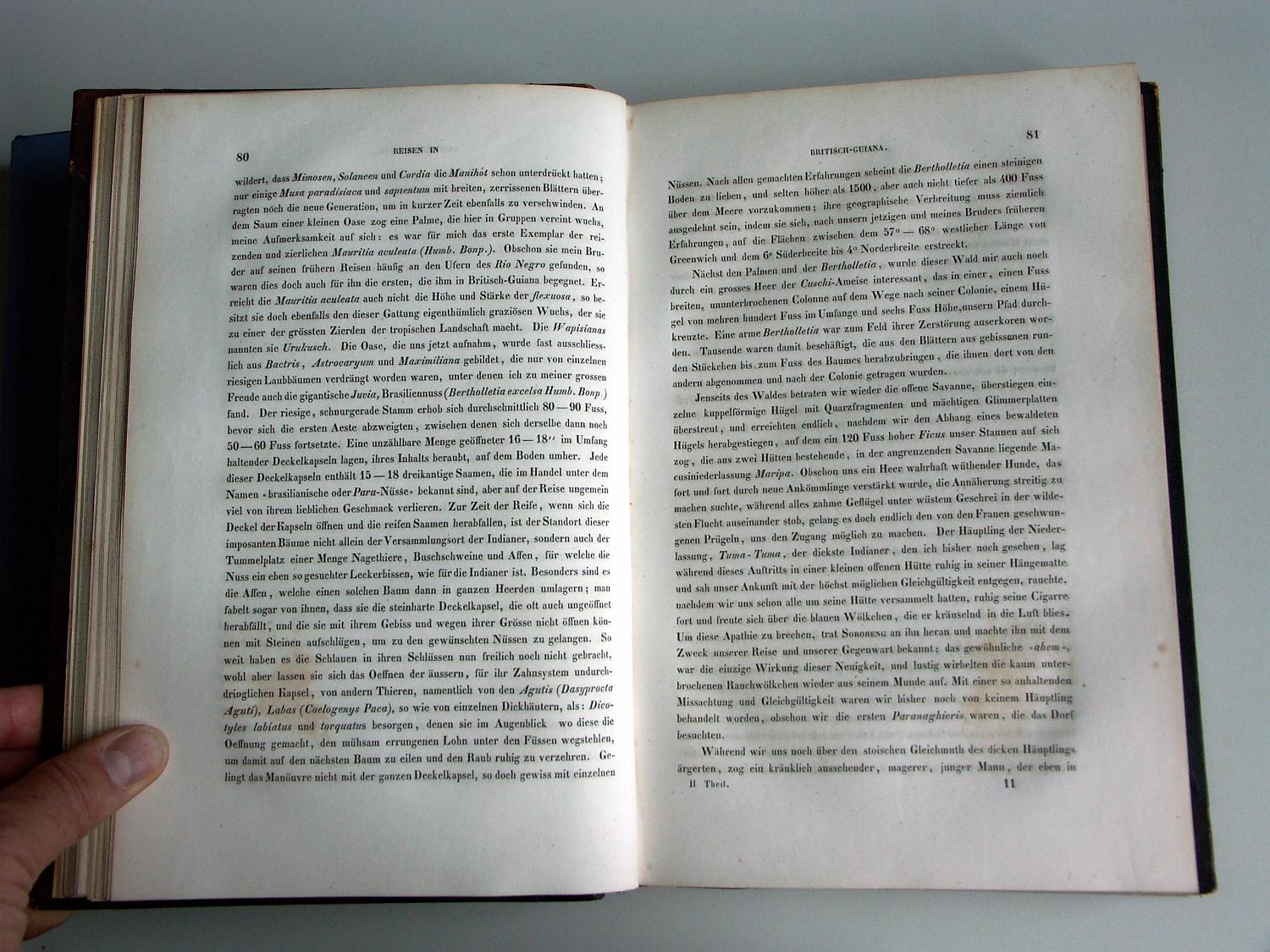 ZZ-RISC48,S.080 Dorf Maripa